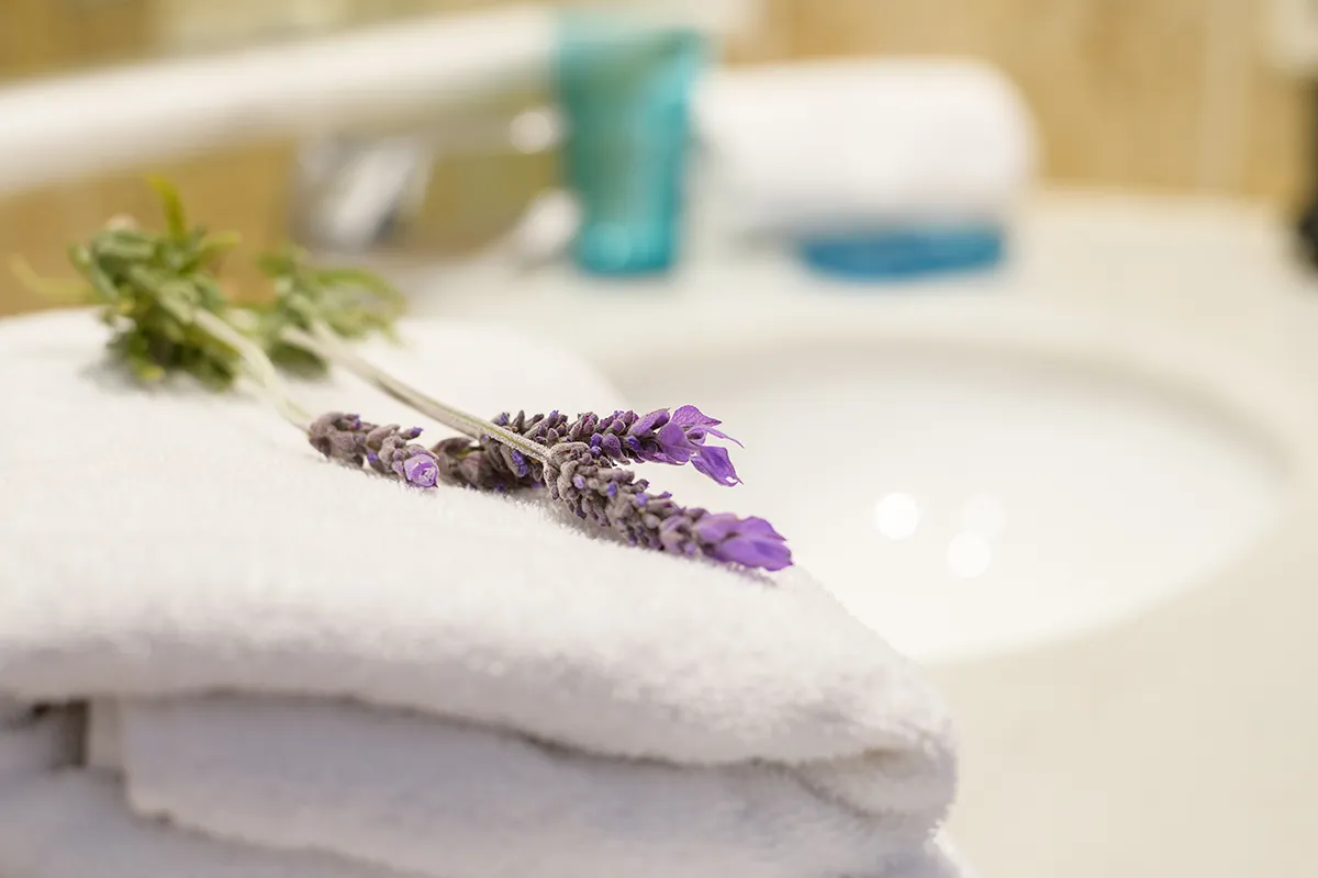 Voll ausgestattete Badezimmer in Hipoclub Villa Aguamarina 10
