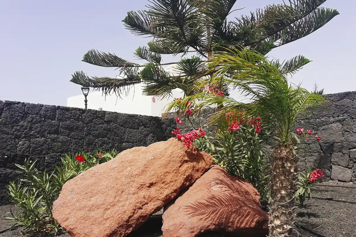 Palmeras y vegetación mediterránea en el jardín de Hipoclub Villa Aguamarina 11