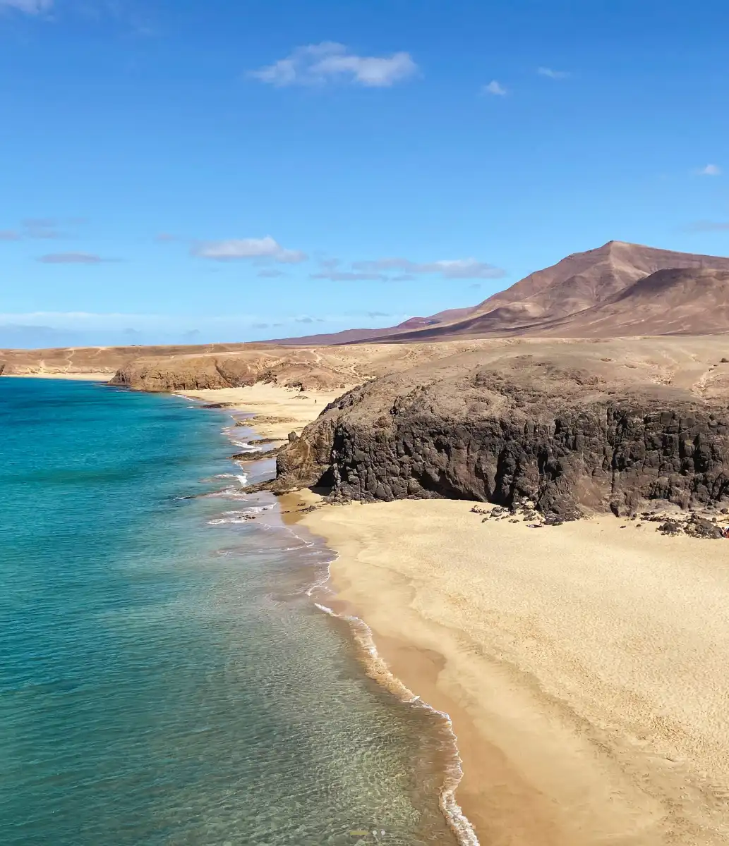 Acantalidos junto a la playa Playa de Papagayo rodeado de acantalidos en Playa Blanca